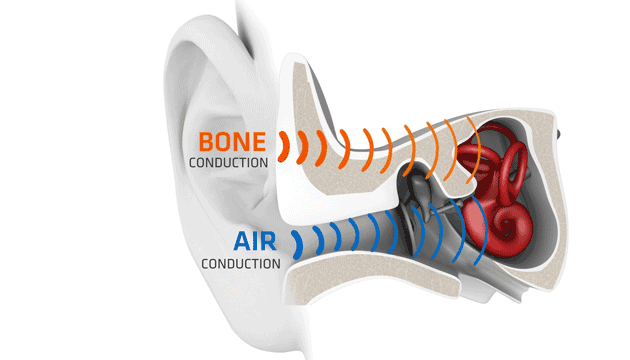 Sự dẫn truyền âm thanh qua xương (Bone Conduction)