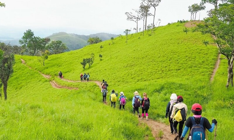 Tất tần tật về trekking cho người mới bắt đầu